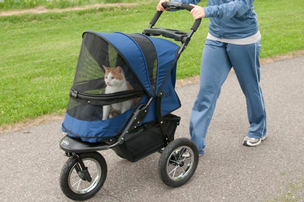 Best Cat Stroller Cheap Cat Strollers Pet Jogging Stroller Deals in